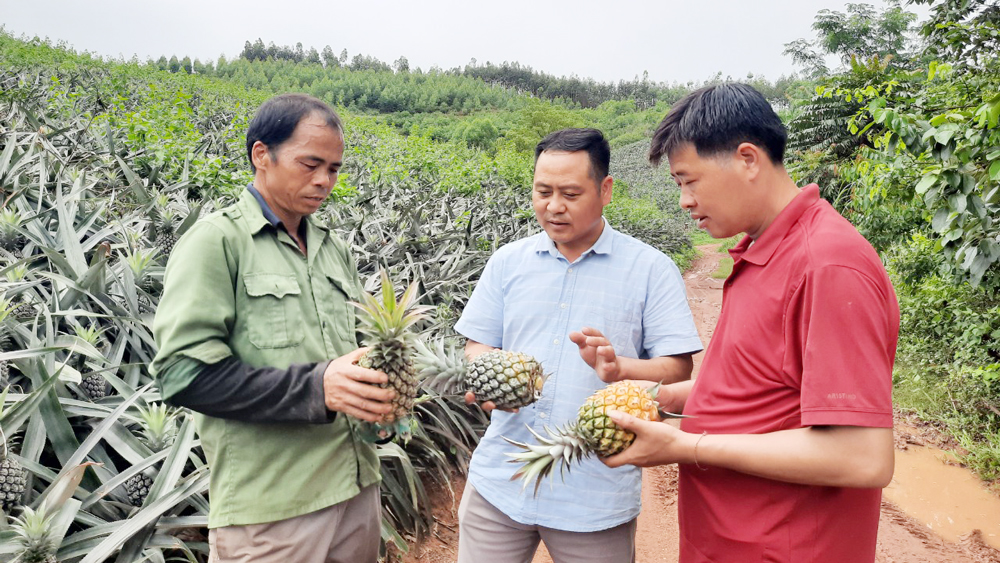 Giúp nông dân Lục Nam tiêu thụ nông sản trực tuyến
