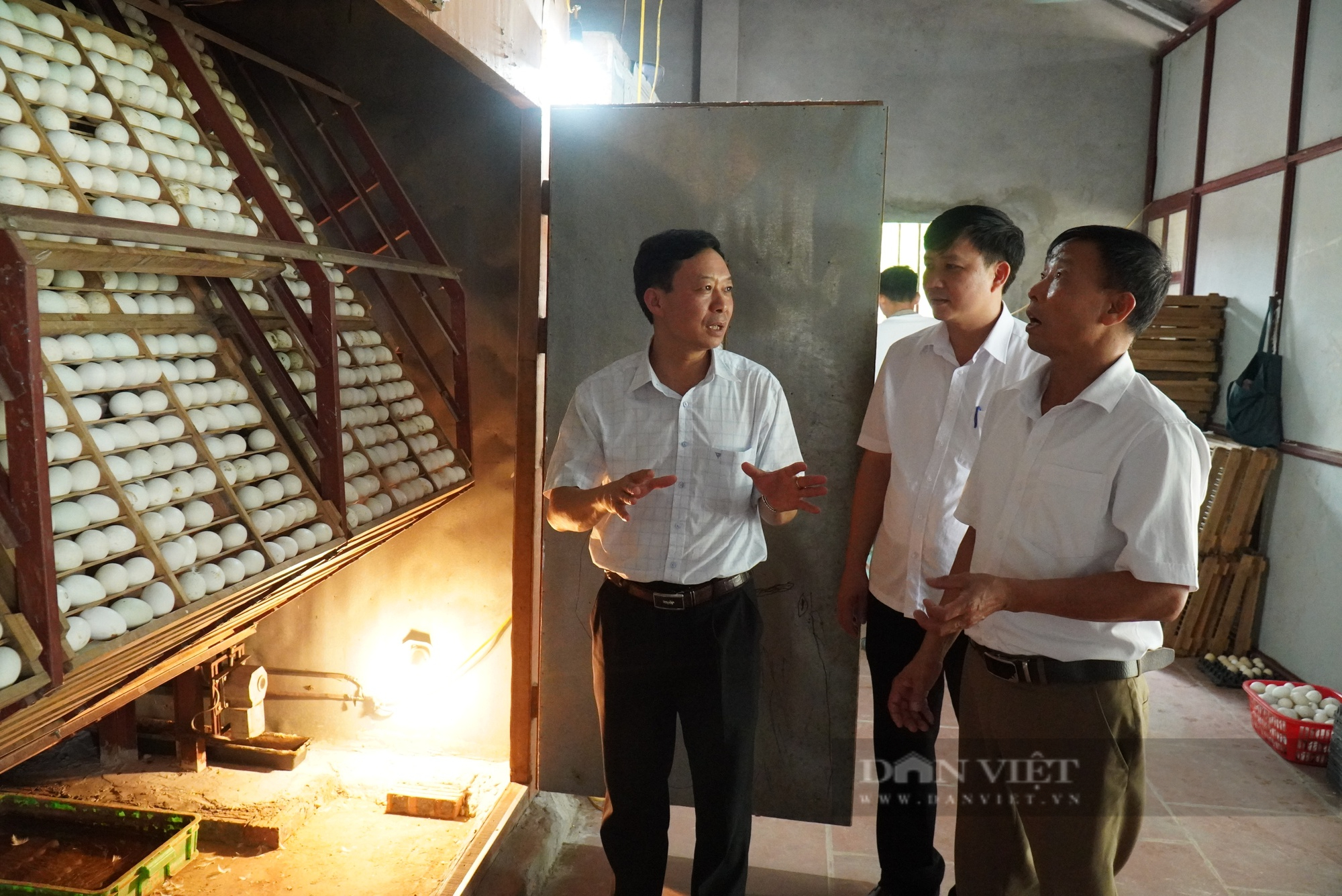 Nông dân sản xuất kinh doanh giỏi Bắc Giang: Nhiều hộ kiếm tiền tỷ mỗi năm