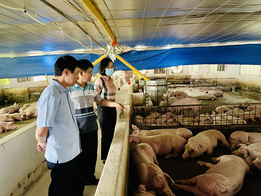 Kết quả bước đầu triển khai Đề án nâng cao năng lực ứng dụng công nghệ thông tin cho chủ trang trại, hộ sản xuất kinh doanh giỏi trên địa bản tỉnh Bắc Giang