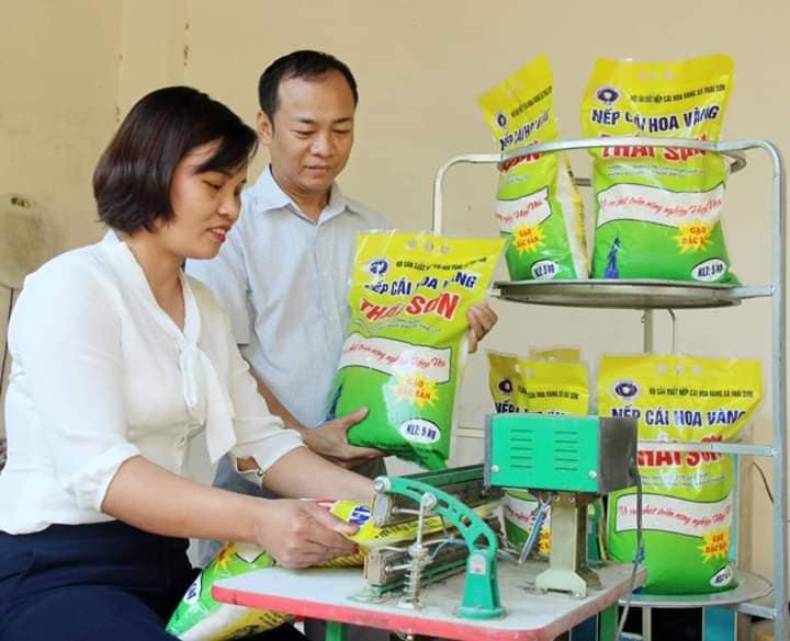Hội Nông dân tỉnh Bắc Giang: đồng hành phát triển sản phẩm Ocop nếp cái hoa vàng Thái Sơn