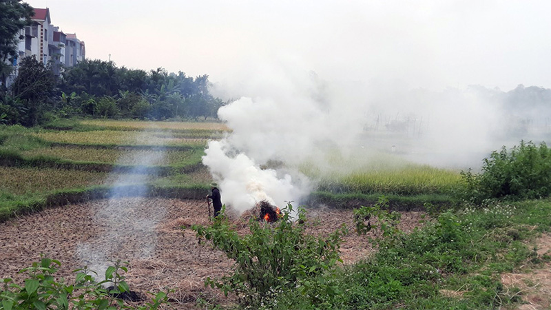 Bắc Giang: Lợi bất cập hại từ đốt rơm rạ