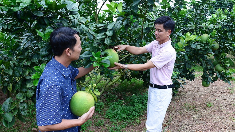 Hai cá nhân ở Bắc Giang đạt danh hiệu “Nông dân Việt Nam xuất sắc năm 2023”