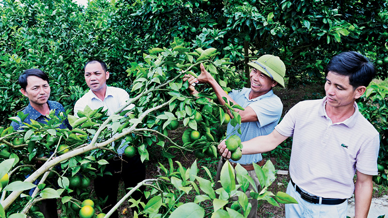 Hai nông dân Việt Nam xuất sắc năm 2023: Thành công nhờ sáng tạo, vượt khó