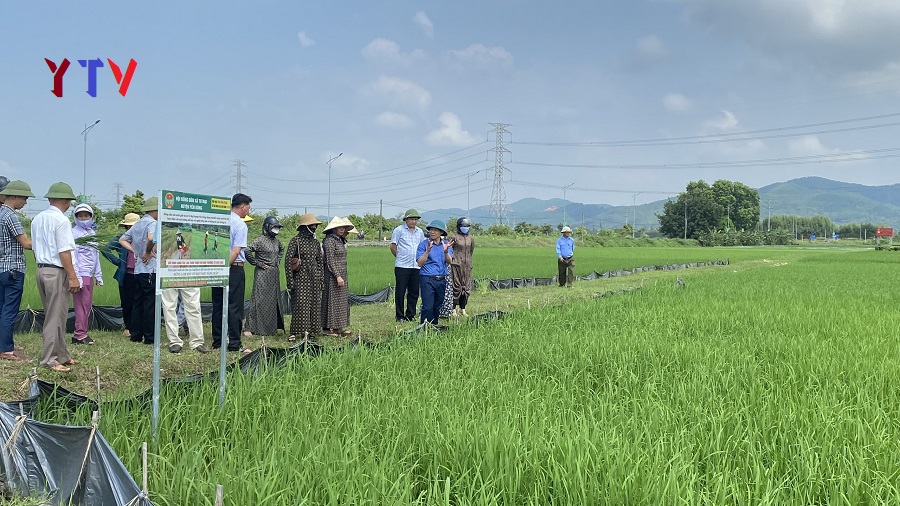 Tập huấn kỹ thuật tưới nước trong canh tác lúa thân thiện với môi trường cho nông dân 2 xã Xuân Phú và Tư Mại