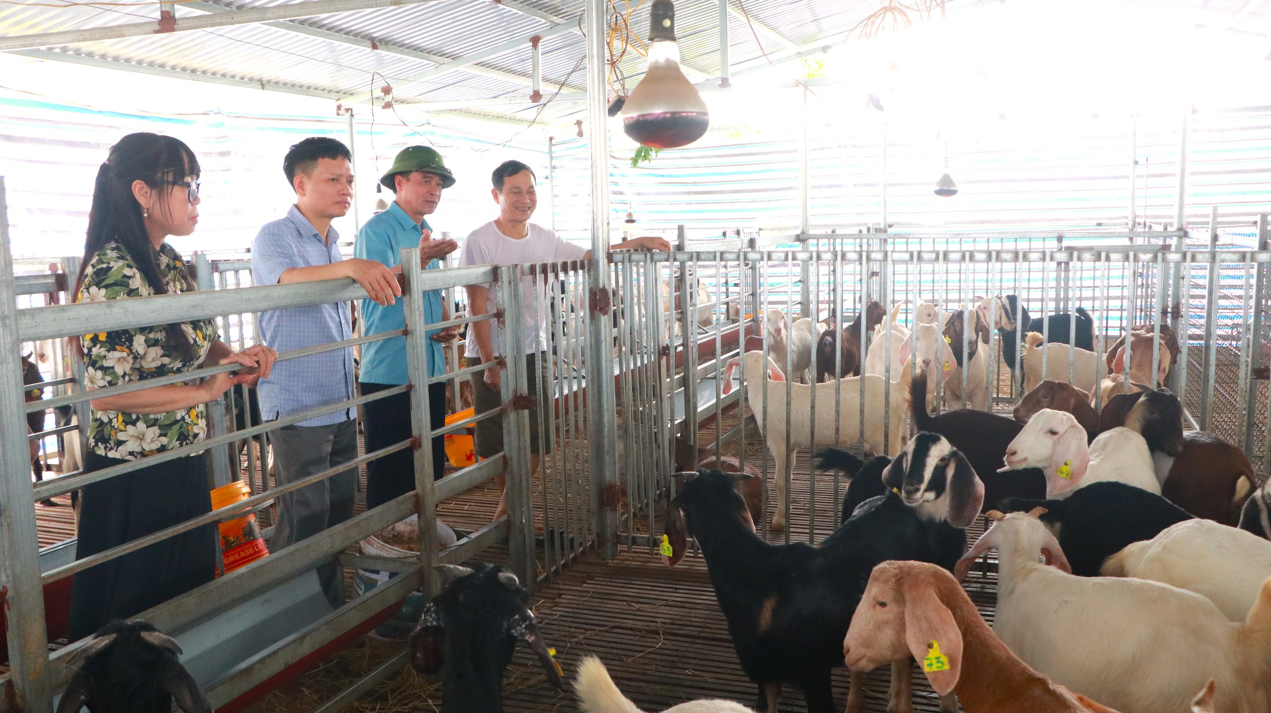 Bắc Giang: Đây là cách liên kết giúp hội viên, nông dân huyện Hiệp Hòa làm ăn lớn, xây dựng mô hình tiền tỷ