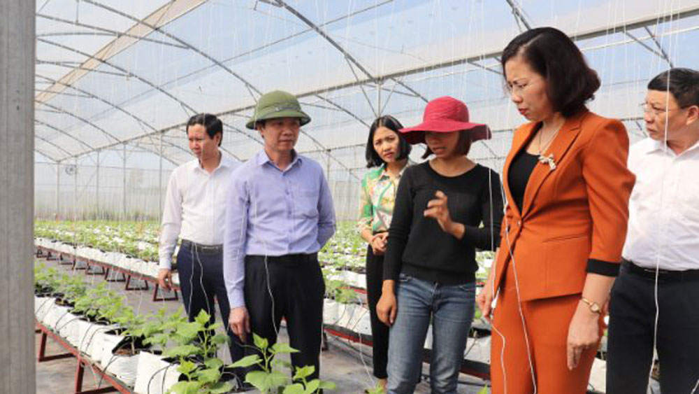 Bắc Giang: Xây dựng lớp nông dân có trình độ cao, khát vọng làm giàu