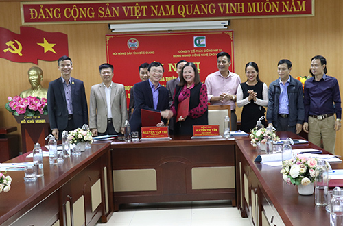 Hội Nông dân tỉnh ký thỏa thuận hợp tác hỗ trợ nông dân sử dụng giống lúa thuần chất lượng cao J02 và QR15 trên địa bàn tỉnh Bắc Giang giai đoạn 2020 - 2025